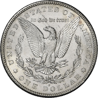 1893-S Morgan dollar reverse close-up showing the S mint mark diagnostic feature above DO in DOLLAR